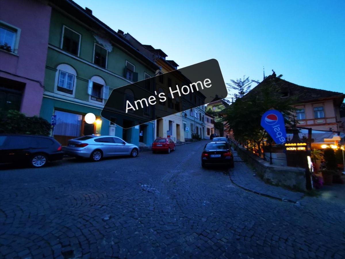 Ame'S Home Segesvár Kültér fotó